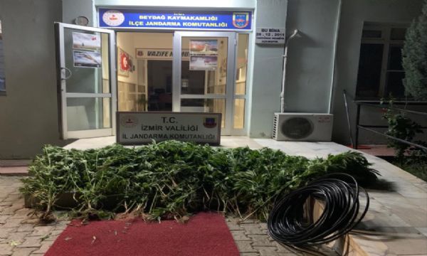 İzmir'de uyuşturucu operasyonu!